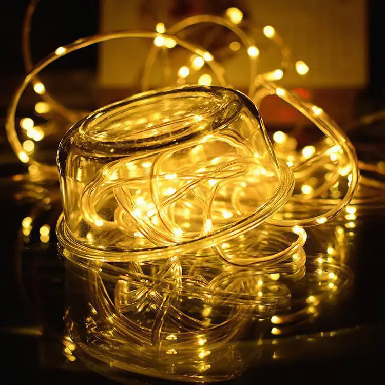 33FT 100 LED Rope String Lights