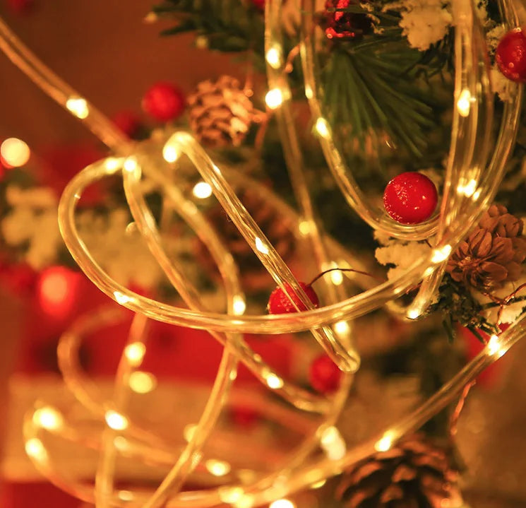 33FT 100 LED Rope String Lights
