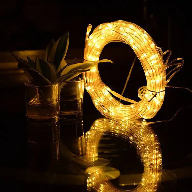 33FT 100 LED Rope String Lights